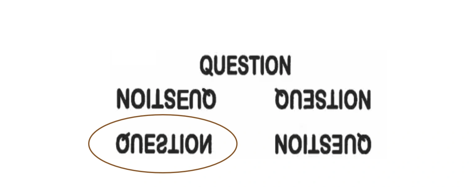 Option 3