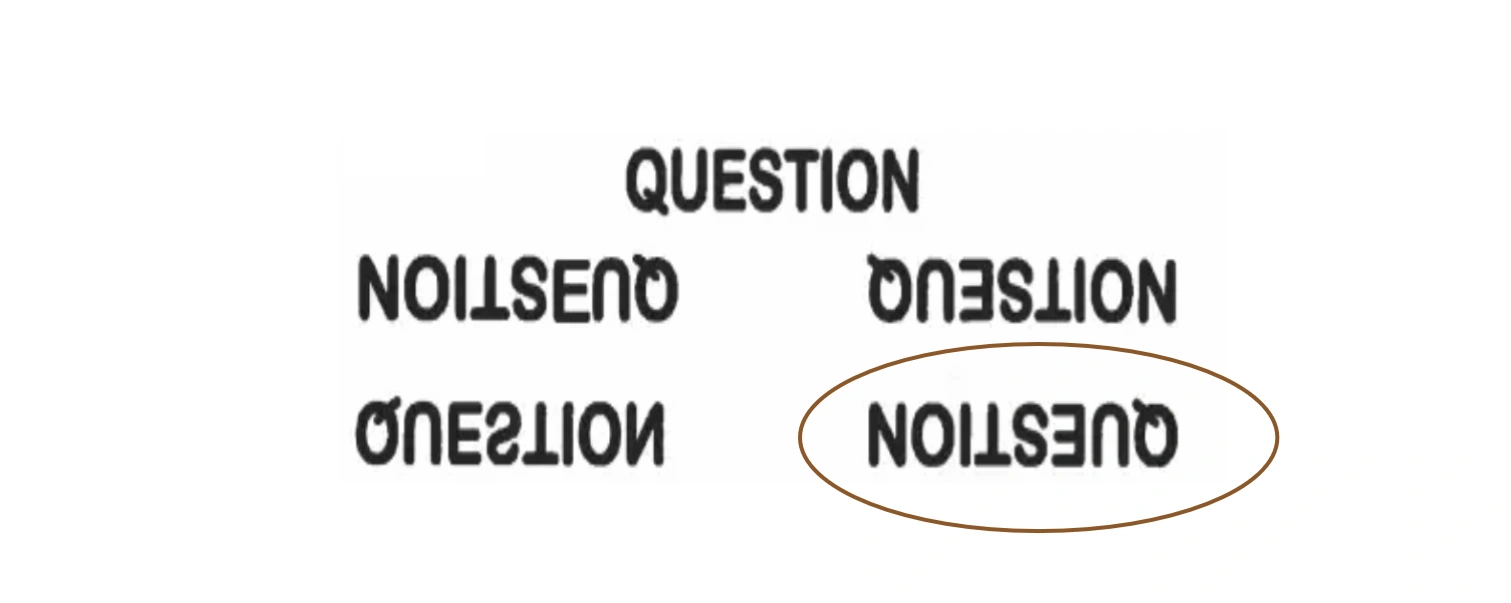 Option 4