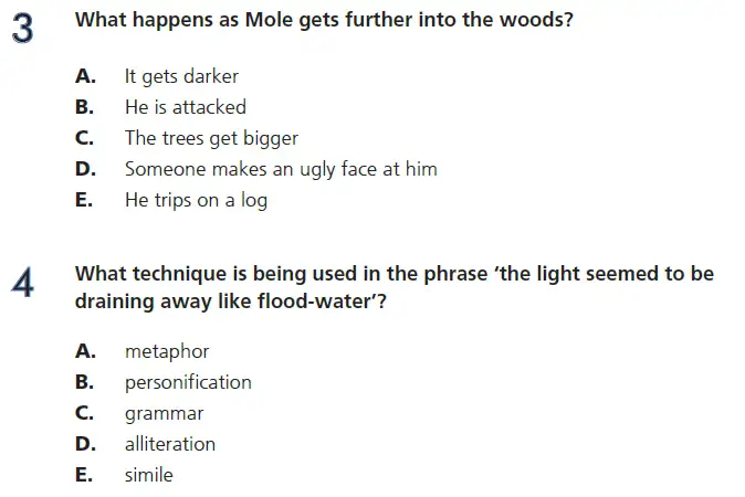 Question 03 & 04 - 11+ GL English Pack 1 Test Paper 1