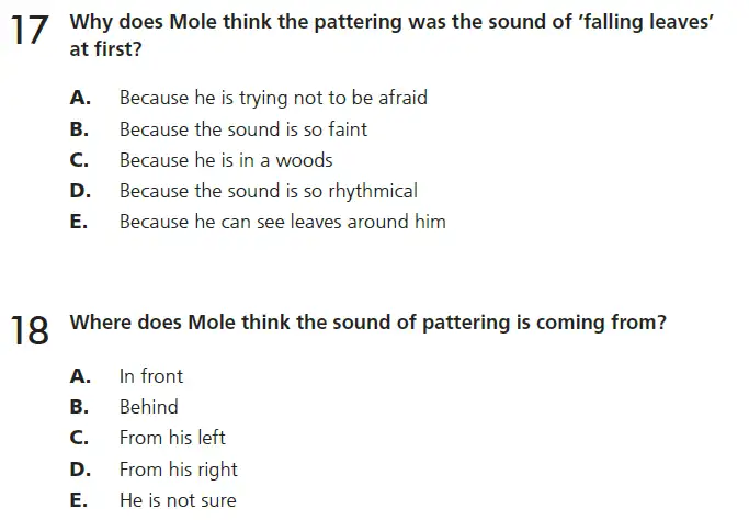 Question 17 & 18 - 11+ GL English Pack 1 Test Paper 1