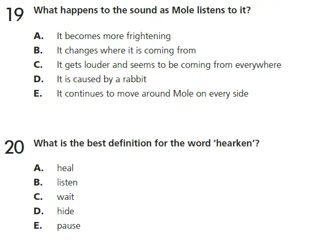 Question 19 & 20 - 11+ GL English Pack 1 Test Paper 1