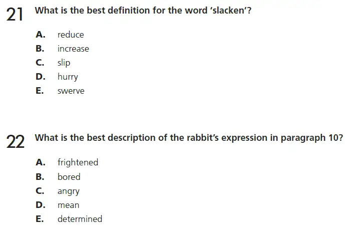 Question 21 & 22 - 11+ GL English Pack 1 Test Paper 1