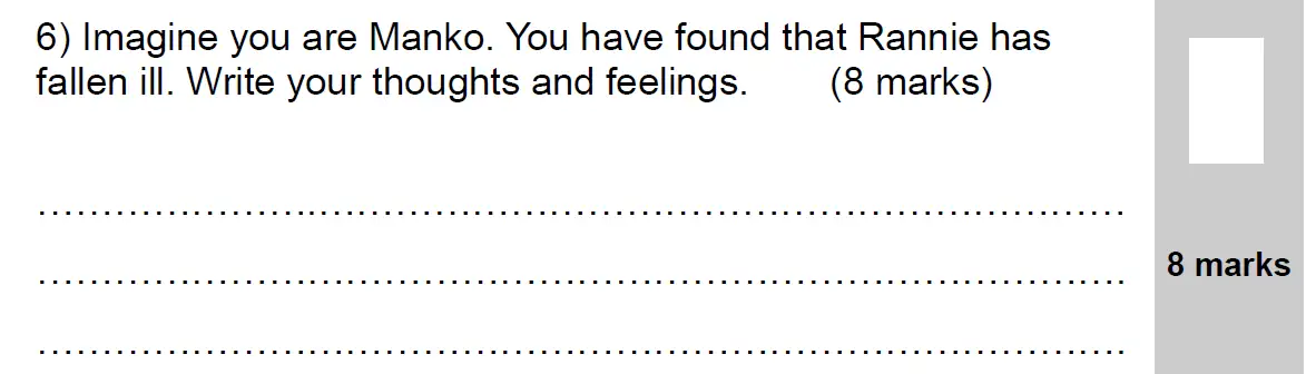 Question 06 - 11 Plus English Paper Group 2 - 2009