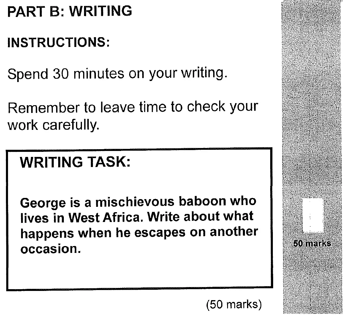 Writing task 01 - 11 Plus English Paper Group 2 - 2011