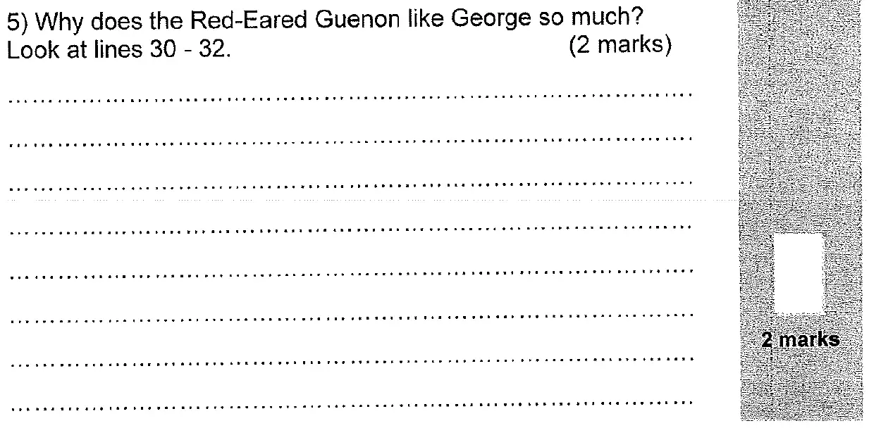 Question 05 - 11 Plus English Paper Group 2 - 2011