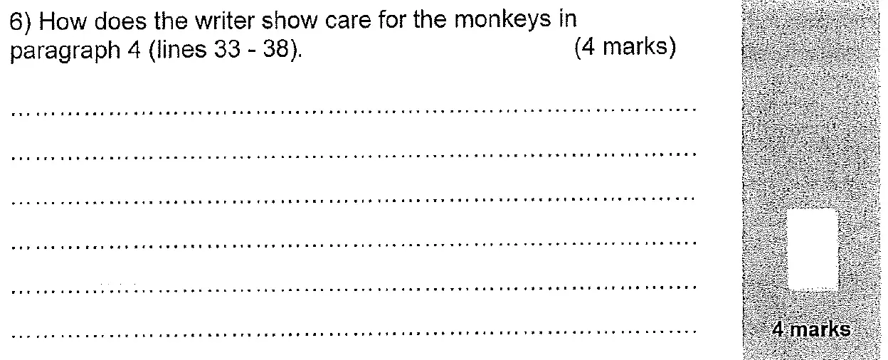 Question 06 - 11 Plus English Paper Group 2 - 2011