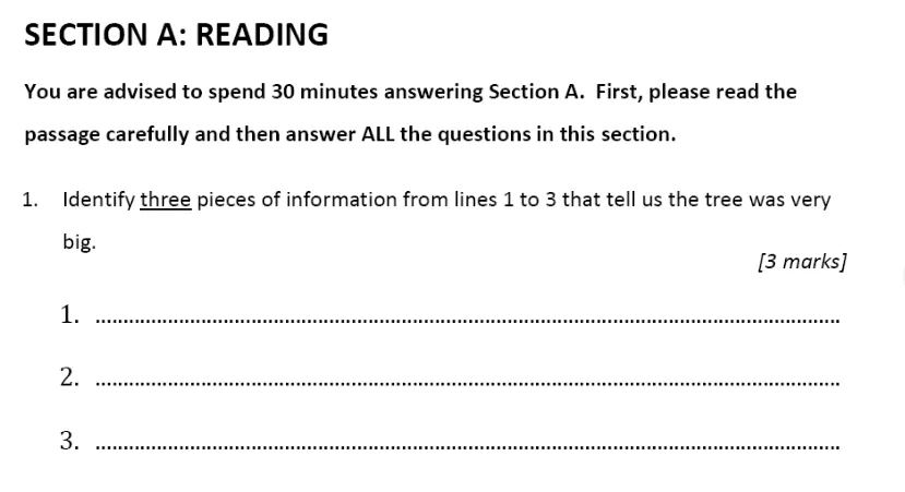 Question 01 - Alleyn’s School – 11+ English Sample Examination Paper 2 – 2024