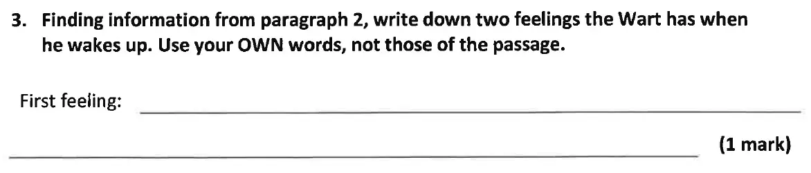 Question 03 - Dulwich College 11 Plus English Specimen Paper - B