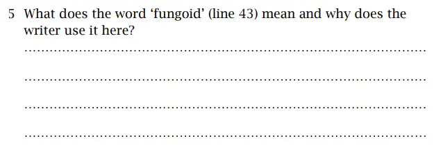 Question 5 - St Paul's Girls' School 11 Plus English Sample Paper 2