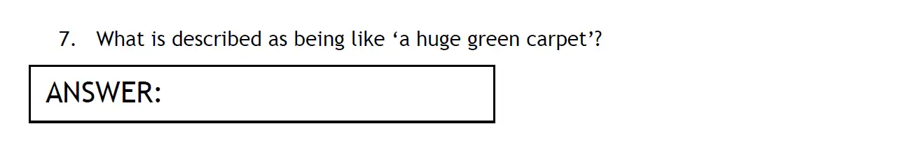 Question 07 - The Haberdashers' Aske's Boys’ School – 11+ English Entrance Examination – 2011