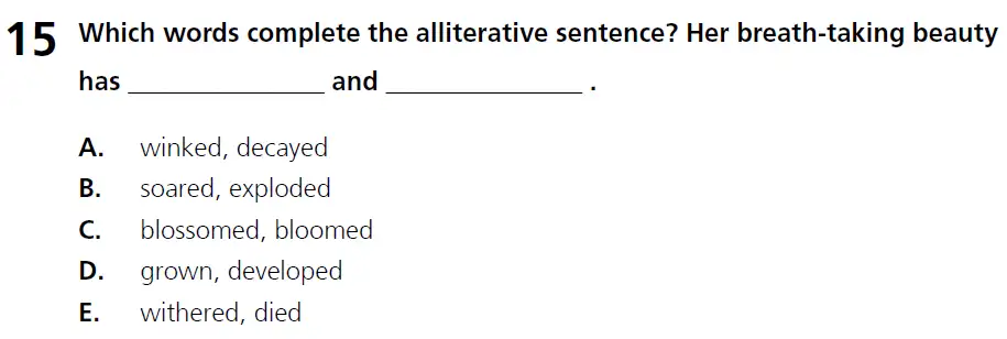 Question 15 - 11+ Literary Devices - Alliteration - Paper 1