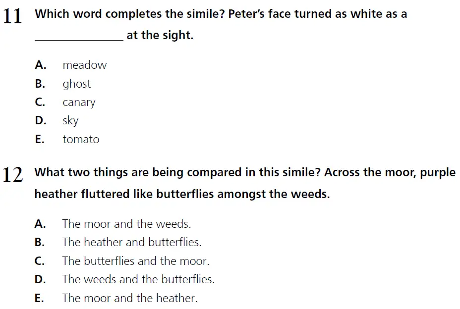 Question 11 & 12 - 11+ Literary Devices - Simile - Paper 1