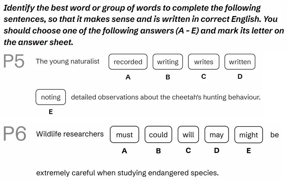 Question English(P05 & P06) - BUCKS 11 Plus Exam Practice Papers 2026 - Pack 1 - Paper 1 - English & VR