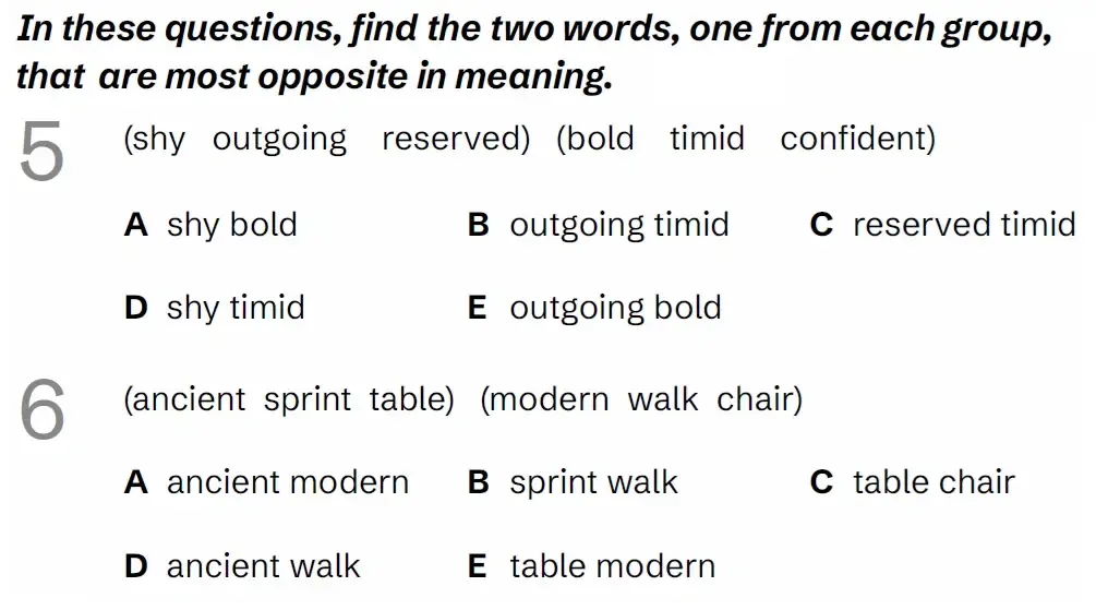 Question VRPractice(05 & 06) - Kent 11 Plus Exam Practice Papers 2026 - Pack 1 - Paper 1 - VR, NVR, SR