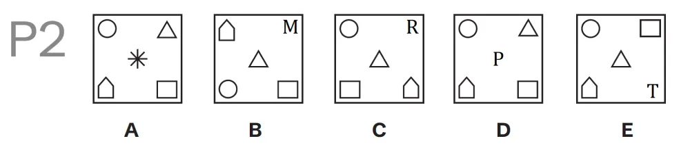 Question P02 - Lincolnshire 11 Plus Exam Practice Papers 2026 - Pack 1 - Paper 2 - NVR & SR
