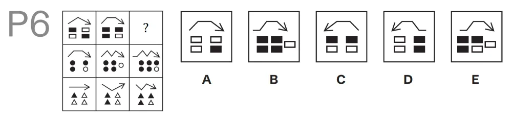 Question P06 - Lincolnshire 11 Plus Exam Practice Papers 2026 - Pack 1 - Paper 2 - NVR & SR