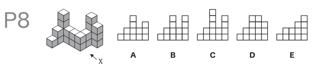 Question P08 - Lincolnshire 11 Plus Exam Practice Papers 2026 - Pack 1 - Paper 2 - NVR & SR