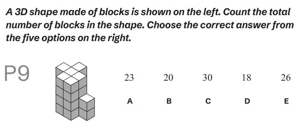 Question P09 - Lincolnshire 11 Plus Exam Practice Papers 2026 - Pack 1 - Paper 2 - NVR & SR