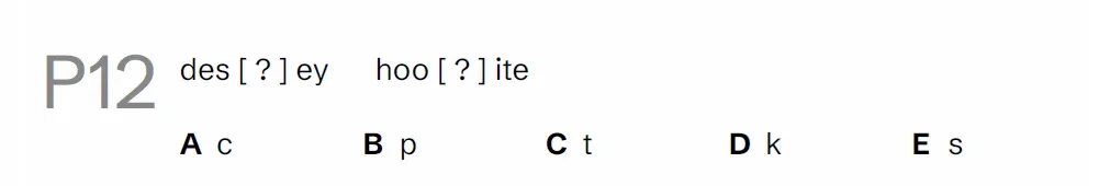 Question P12 - Lincolnshire 11 Plus Exam Practice Papers 2026 - Pack 1 - Paper 1 - VR