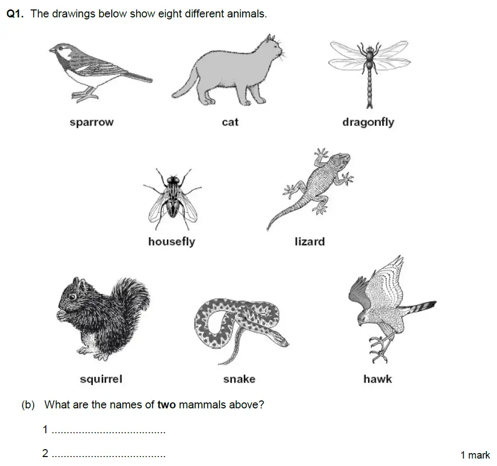Question 2 - Aldenham School - 13 Plus Biology Exam Paper 2018