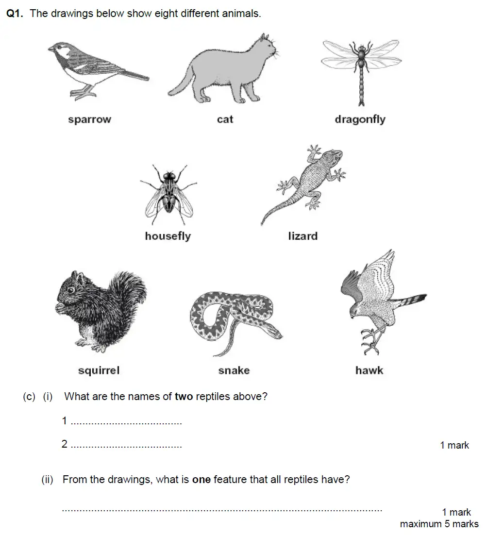 Question 3 - Aldenham School - 13 Plus Biology Exam Paper 2018