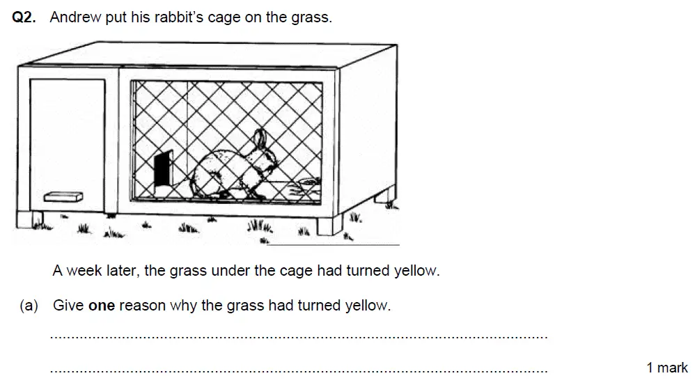 Question 4 - Aldenham School - 13 Plus Biology Exam Paper 2018