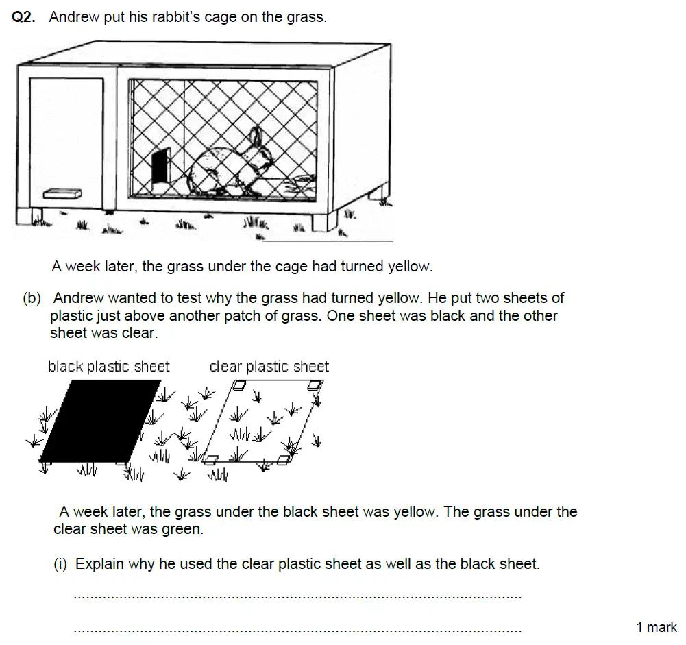 Question 5 - Aldenham School - 13 Plus Biology Exam Paper 2018