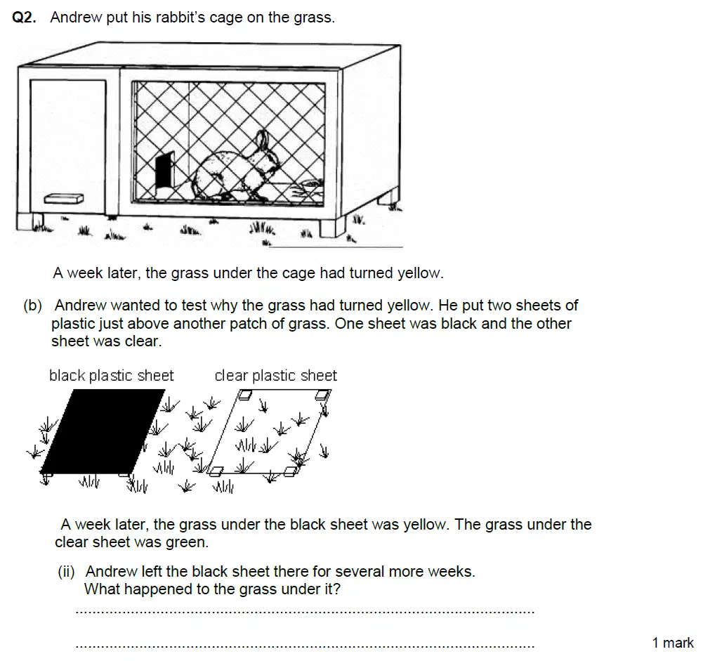 Question 6 - Aldenham School - 13 Plus Biology Exam Paper 2018