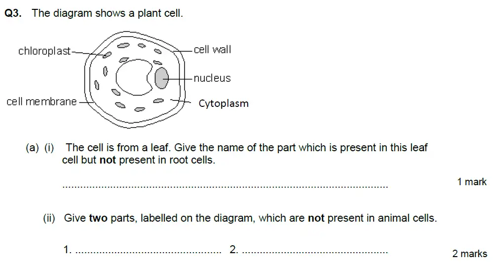 Question 8 - Aldenham School - 13 Plus Biology Exam Paper 2018