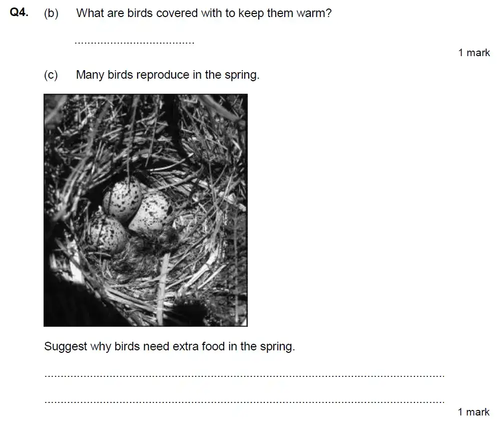 Question 13 - Aldenham School - 13 Plus Biology Exam Paper 2020