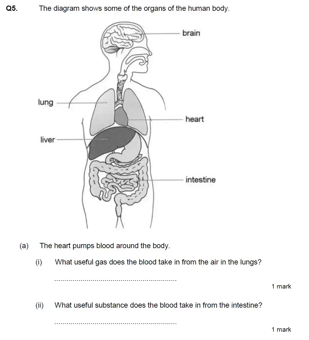 Question 14 - Aldenham School - 13 Plus Biology Exam Paper 2020