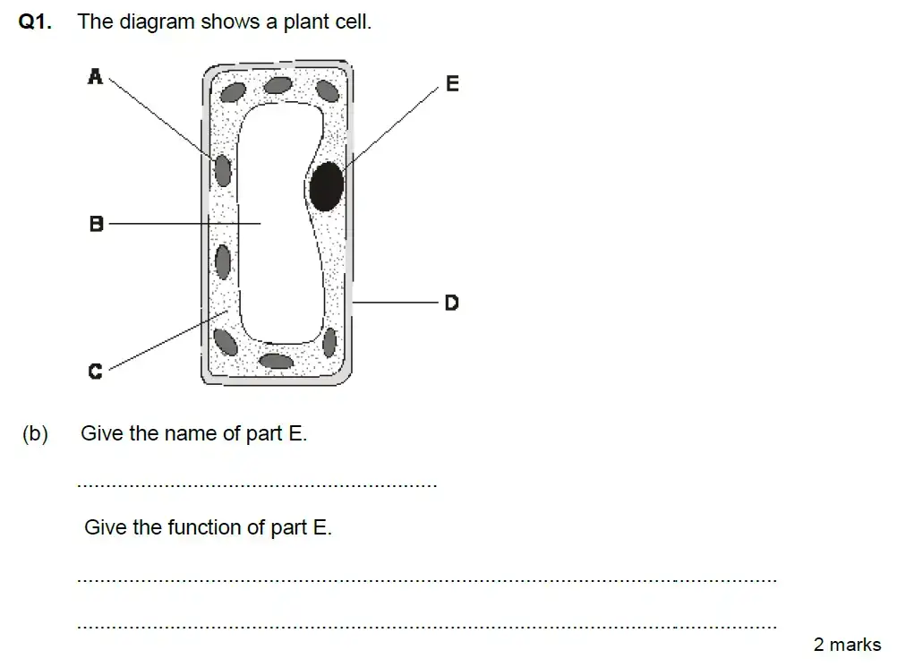 Question 2 - Aldenham School - 13 Plus Biology Exam Paper 2020