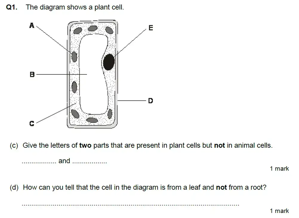 Question 3 - Aldenham School - 13 Plus Biology Exam Paper 2020
