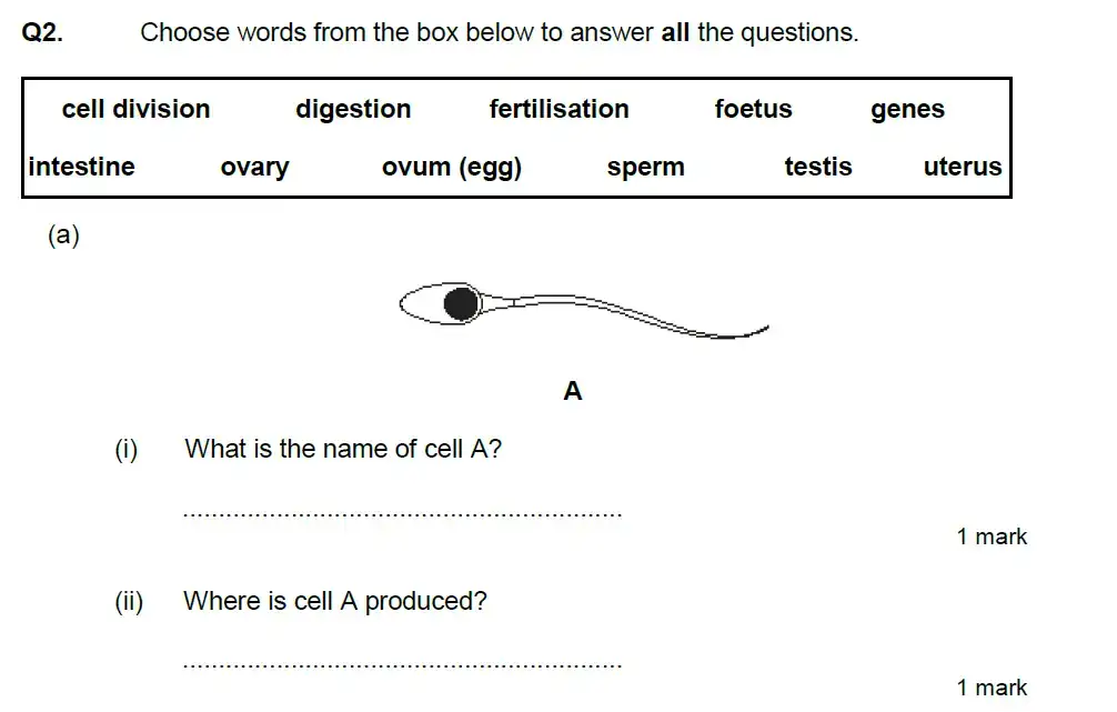 Question 4 - Aldenham School - 13 Plus Biology Exam Paper 2020