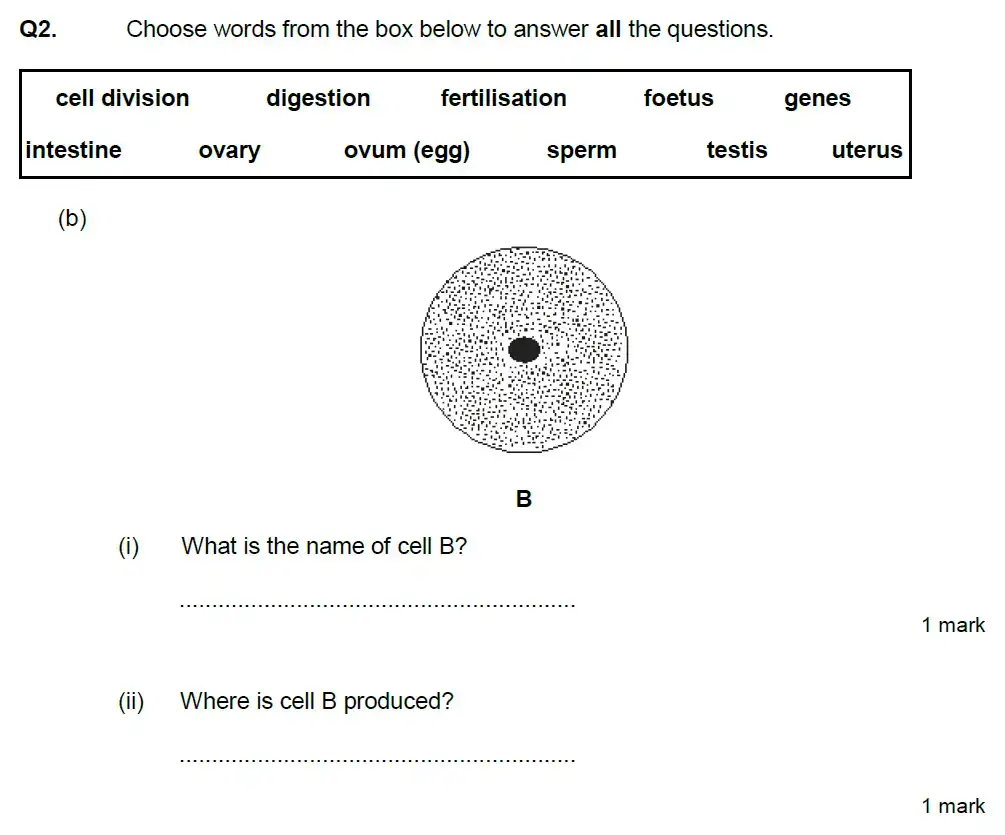 Question 5 - Aldenham School - 13 Plus Biology Exam Paper 2020