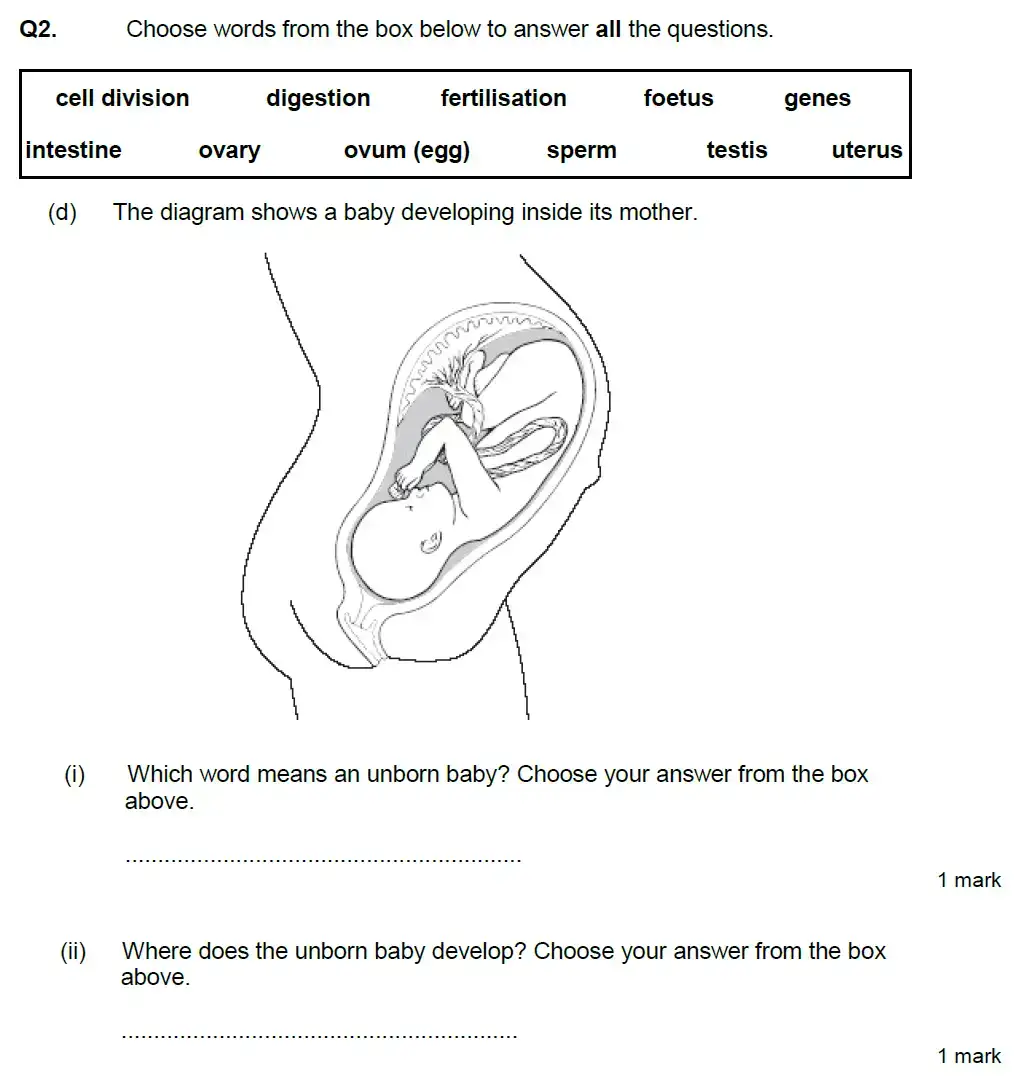 Question 7 - Aldenham School - 13 Plus Biology Exam Paper 2020