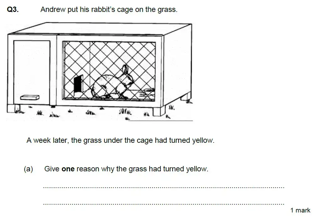 Question 8 - Aldenham School - 13 Plus Biology Exam Paper 2020