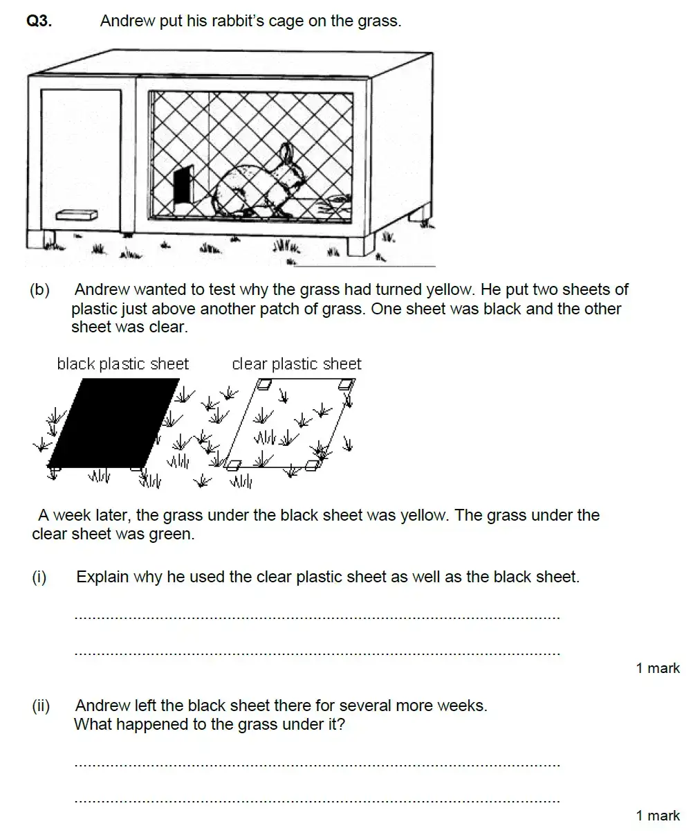 Question 9 - Aldenham School - 13 Plus Biology Exam Paper 2020