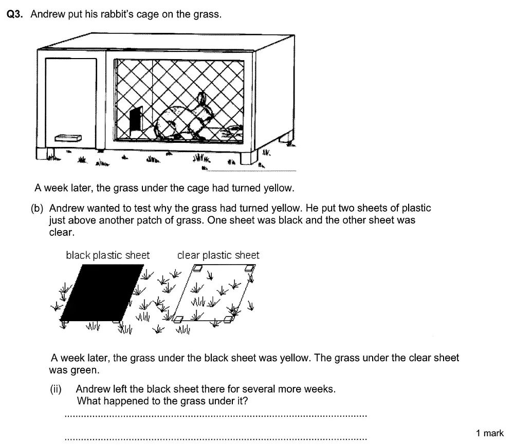 Question 10 - Aldenham School - 13 Plus Biology Sample Paper 2015