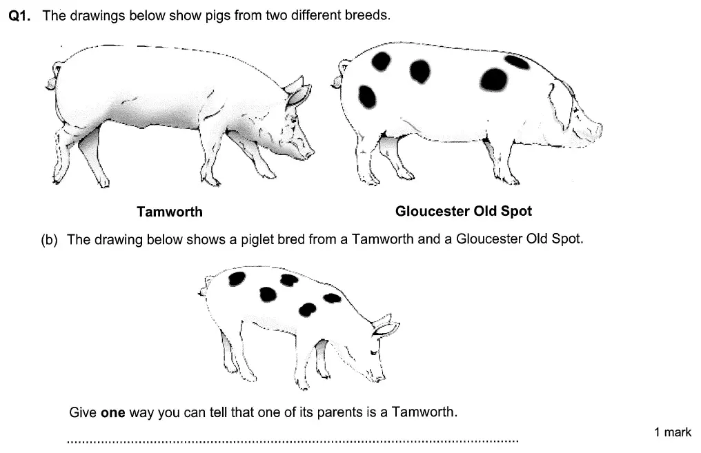 Question 2 - Aldenham School - 13 Plus Biology Sample Paper 2015
