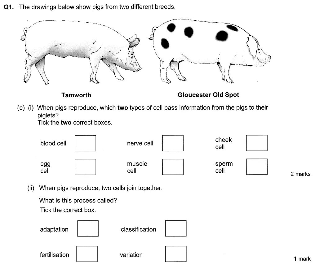 Question 3 - Aldenham School - 13 Plus Biology Sample Paper 2015