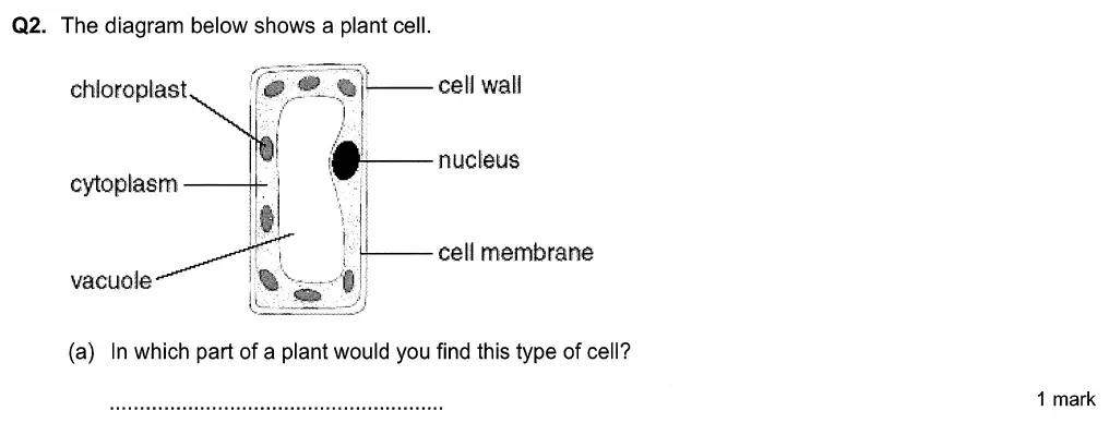 Question 4 - Aldenham School - 13 Plus Biology Sample Paper 2015