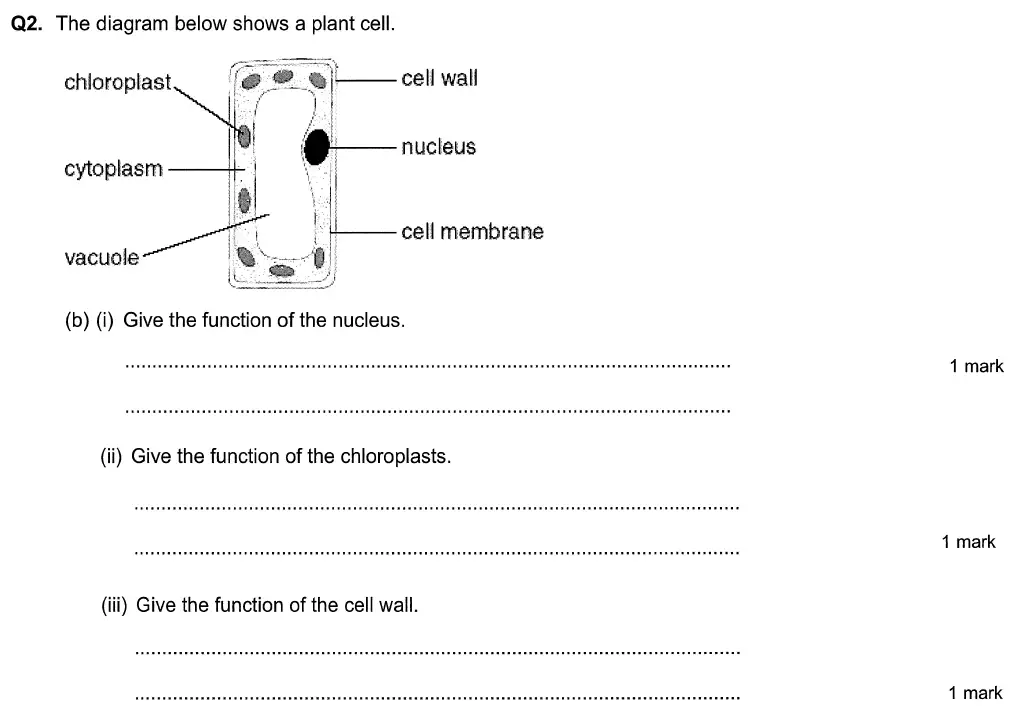 Question 5 - Aldenham School - 13 Plus Biology Sample Paper 2015