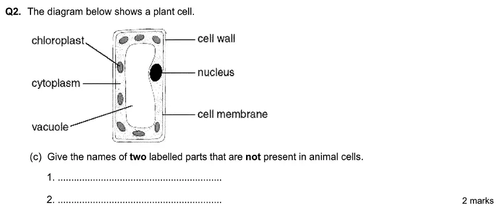 Question 6 - Aldenham School - 13 Plus Biology Sample Paper 2015