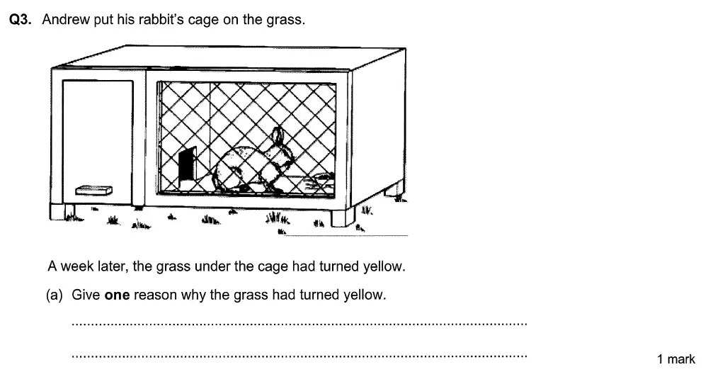 Question 8 - Aldenham School - 13 Plus Biology Sample Paper 2015