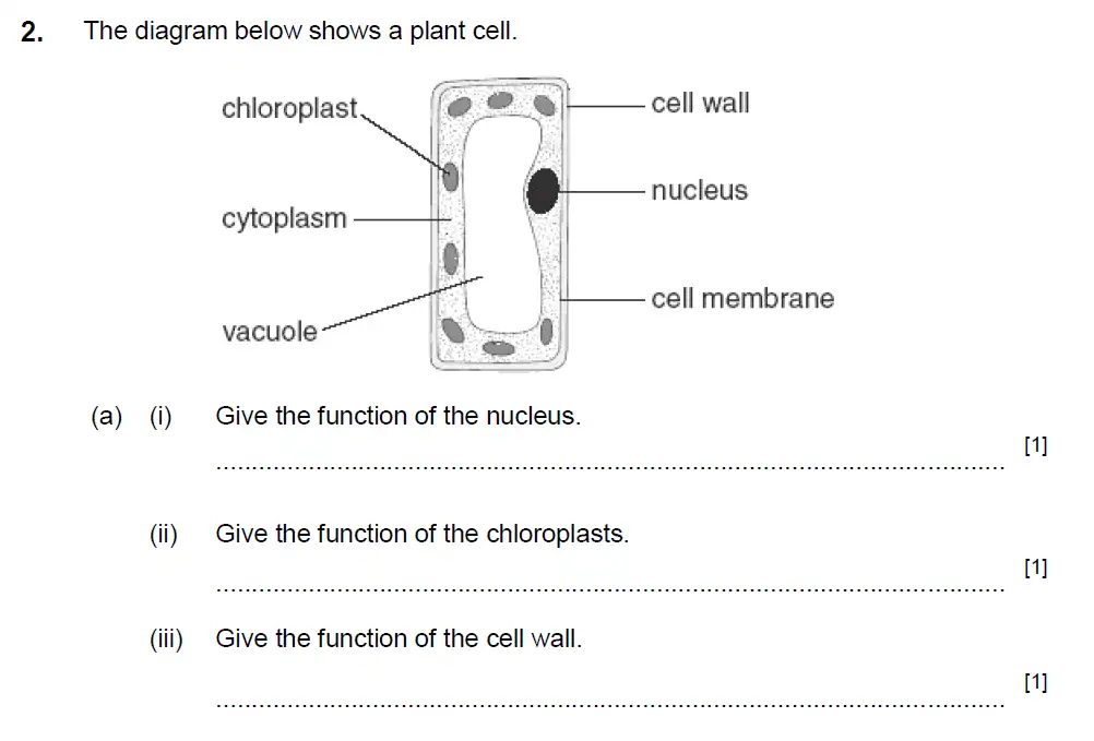 Question 02 - Aldenham School - 13 Plus Biology Sample Paper 2017