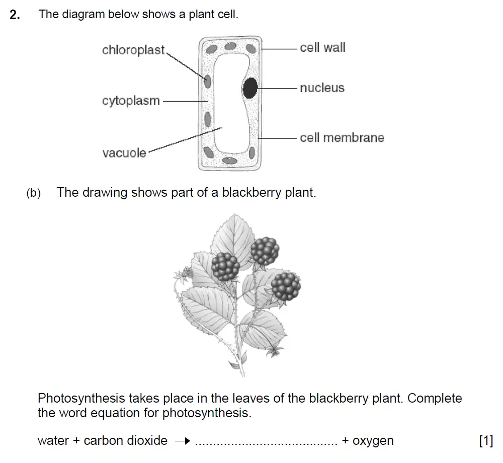 Question 03 - Aldenham School - 13 Plus Biology Sample Paper 2017