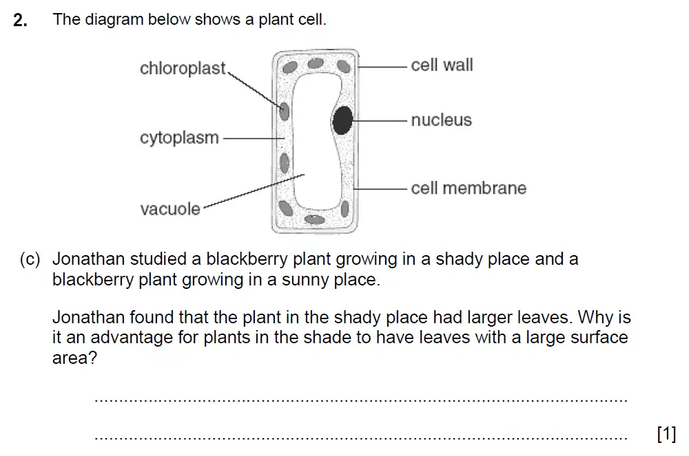Question 04 - Aldenham School - 13 Plus Biology Sample Paper 2017