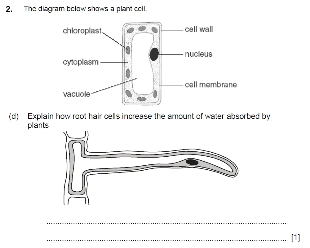 Question 05 - Aldenham School - 13 Plus Biology Sample Paper 2017