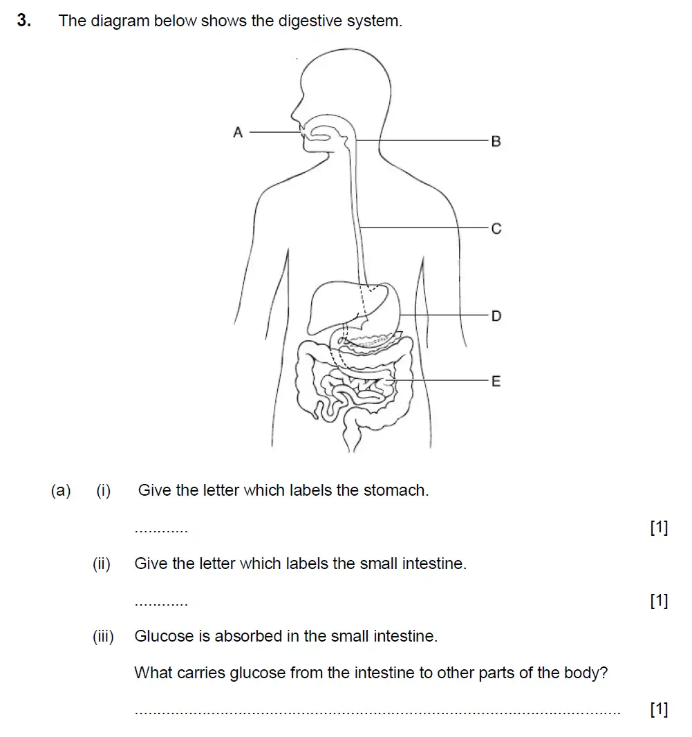 Question 06 - Aldenham School - 13 Plus Biology Sample Paper 2017
